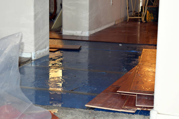 Professional Sewage Cleanup technician working in Lee, ME